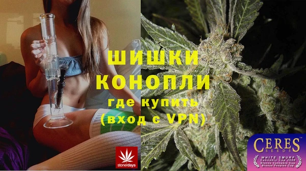 стафф Вяземский