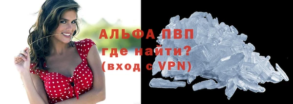 стафф Вяземский