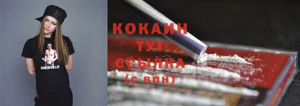 стафф Вяземский