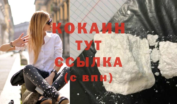 стафф Вяземский