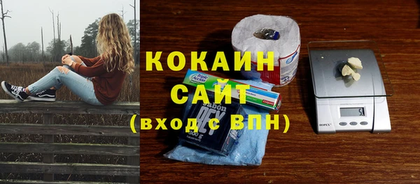 сатива Вязники