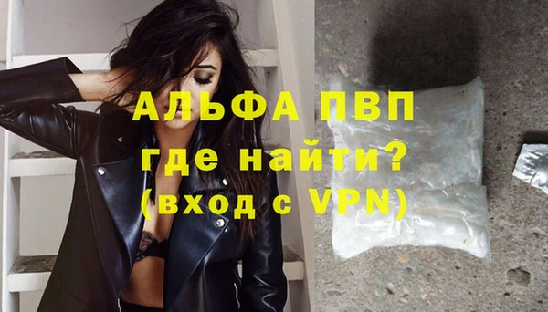 стафф Вяземский