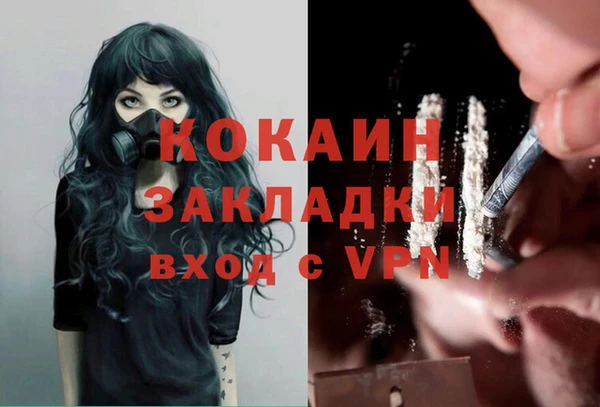 сатива Вязники