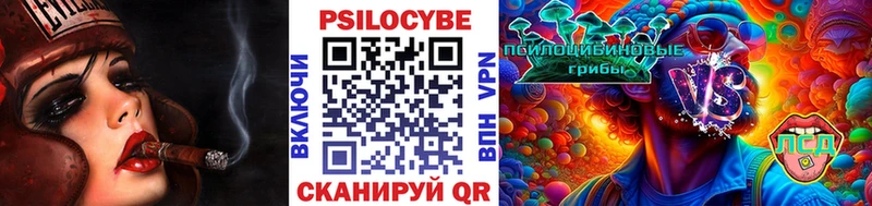 где продают   Заводоуковск  Галлюциногенные грибы прущие грибы 